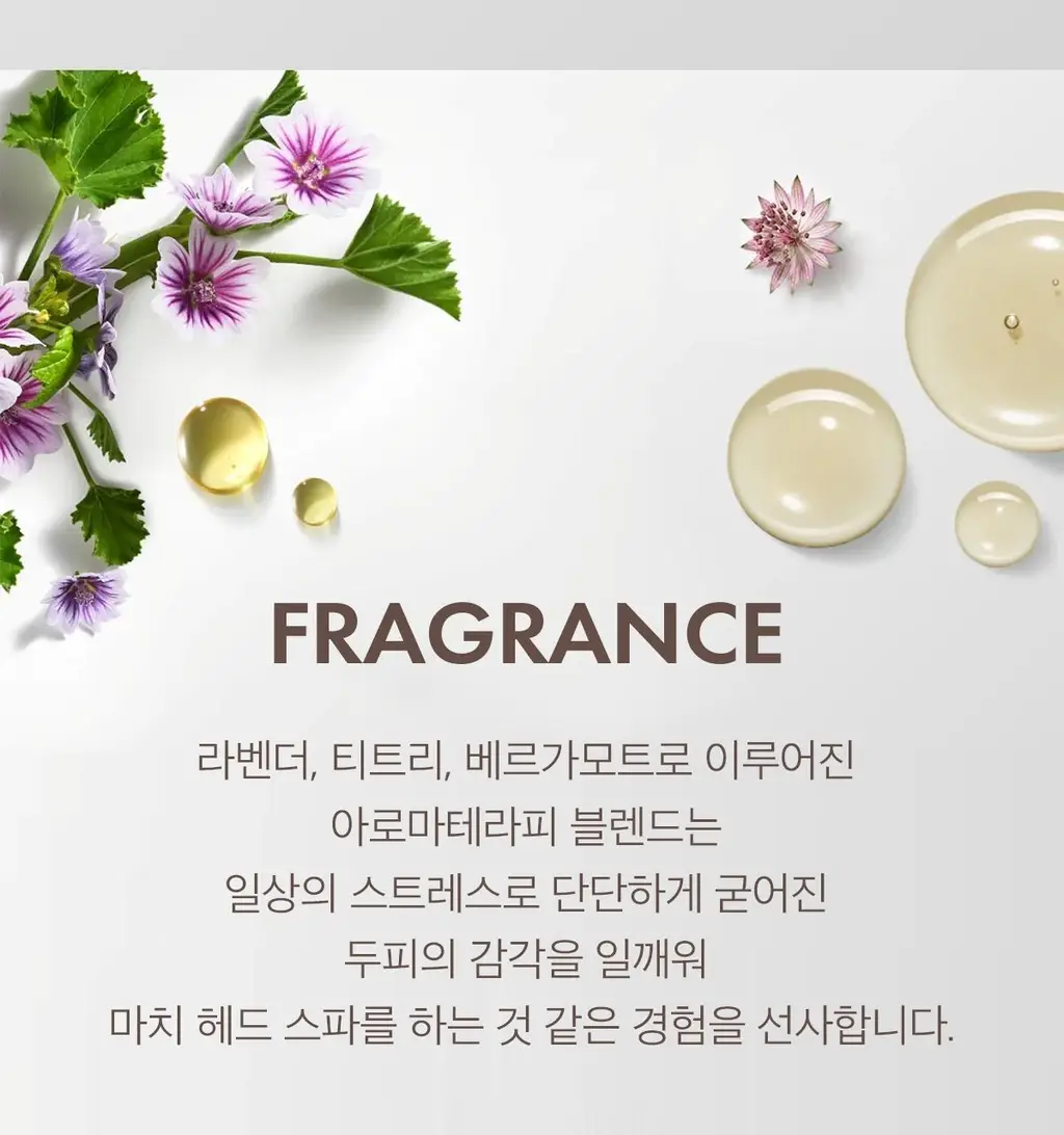 [두피 스크럽] 모로칸오일 퓨리파잉 스크럽 125ml 상세페이지 19